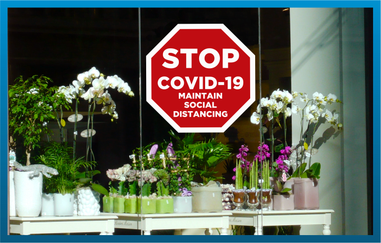 picture of static cling 'stop' sign for COVID-19